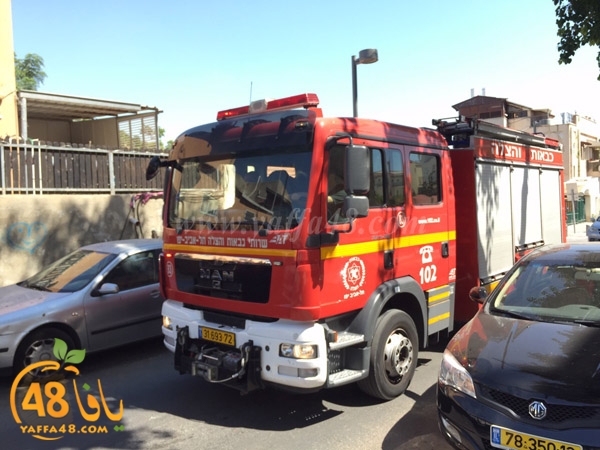 firealn jaami (10).jpg